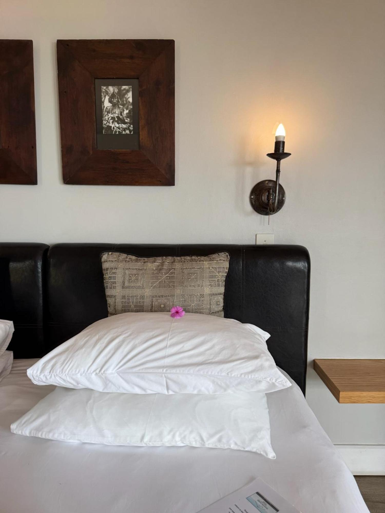 Dolphin Dunes Guesthouse Wilderness Ngoại thất bức ảnh
